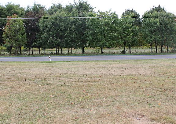 view from front yard