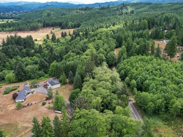 12 XX Rue Creek Road, Raymond, WA 98577