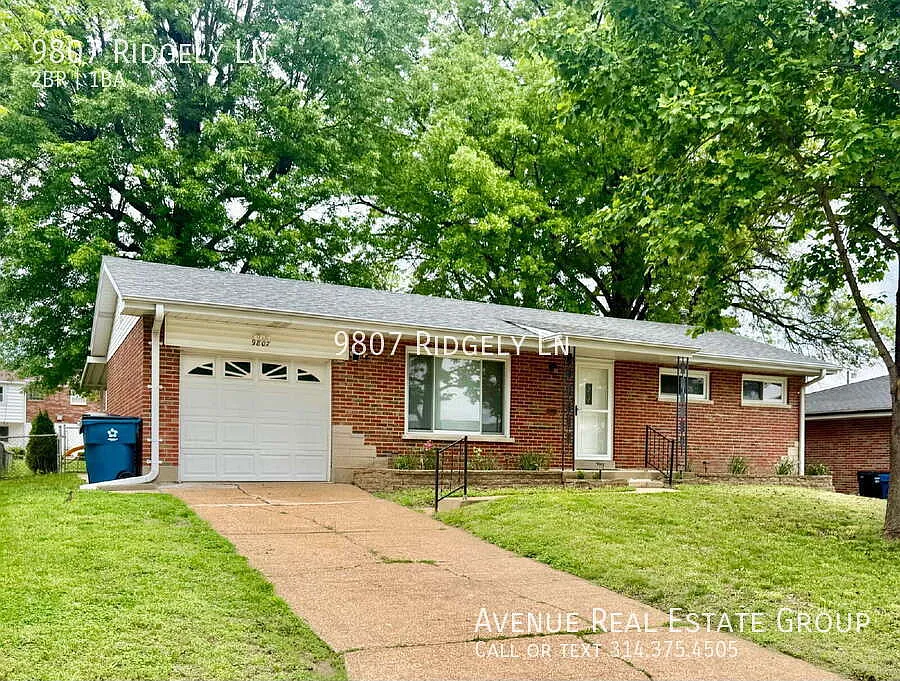 9807 Ridgely Ln photo 1