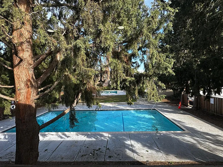 Sparkling pool next door!
