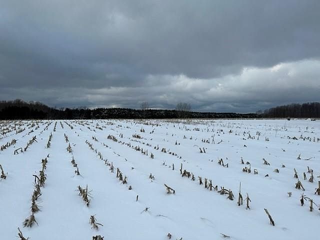2nd image of Black Rd