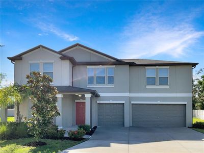 911 Timeless Moss Dr, Ruskin, FL, 33570