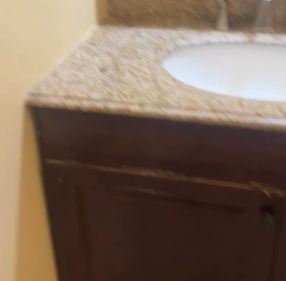 1 bed, $850 — Photo 1