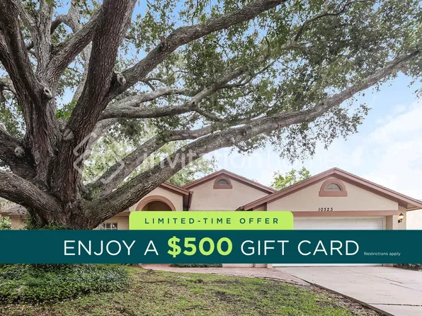 10323 Ashley Oaks Dr, Riverview, FL 33578