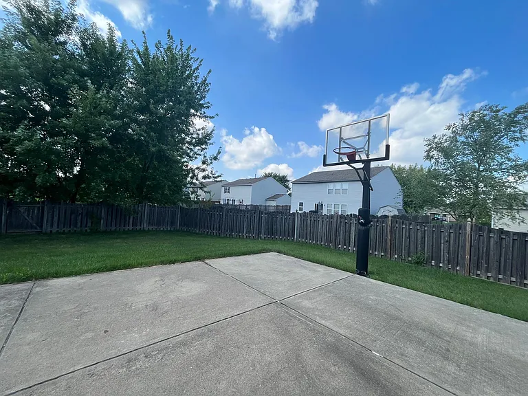 basketball in fenced backyard