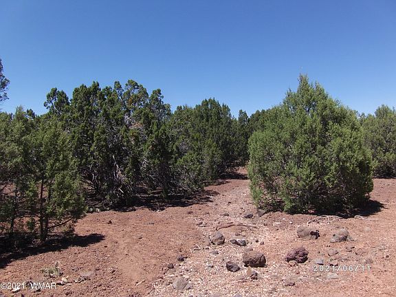 4th image of 1886 White Tail Pl