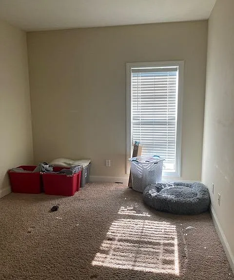 Bedroom #2, at end of the hall (carpet)