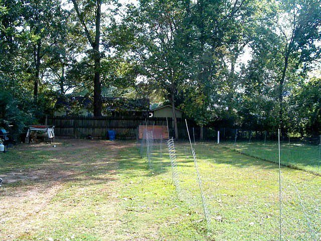 Back yard