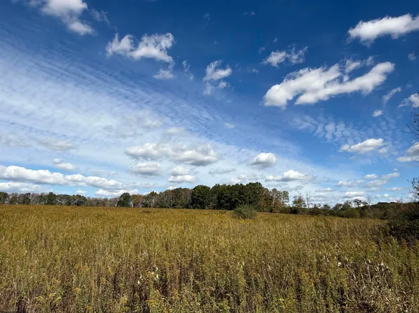 Tallentire Rd, Bruceton Mills, WV 26525