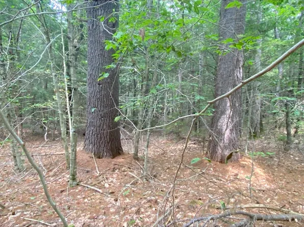 LOT 6 Bissell Rd, Chesterfield, MA 01012