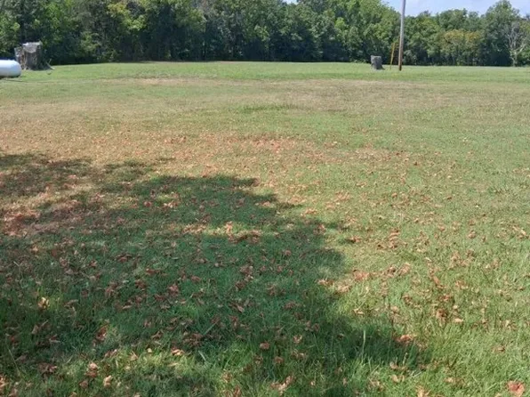 Walnut St, Seligman, MO 65745