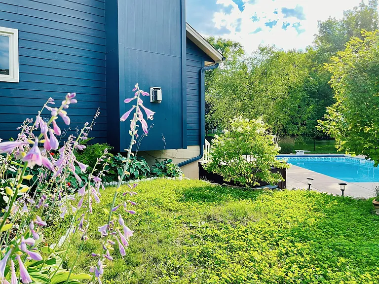 Flowerbed at the north side of the yard. Window in the picture is the laundry room's.