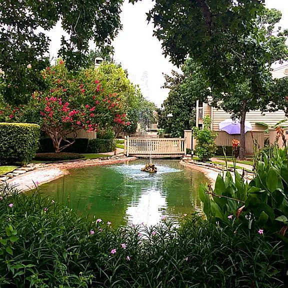 Lush landscape and fish pond. Perfect for after meal walking...