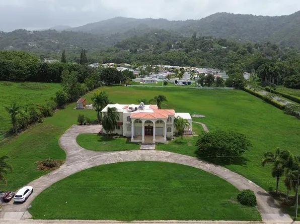 17 CALLE HUCAR, CAYEY, PR 00736