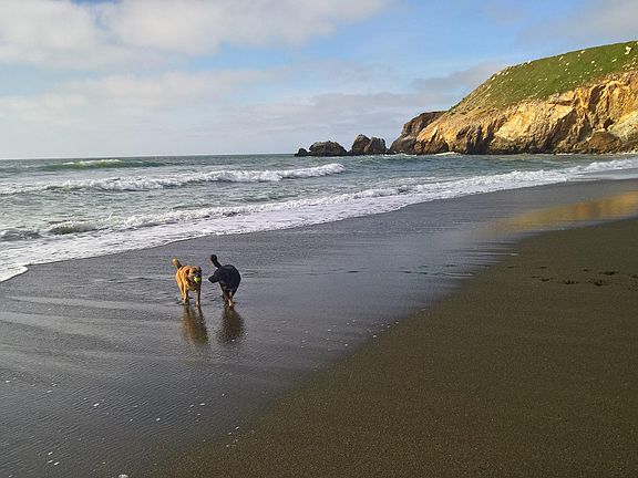The beach at the end of the road.