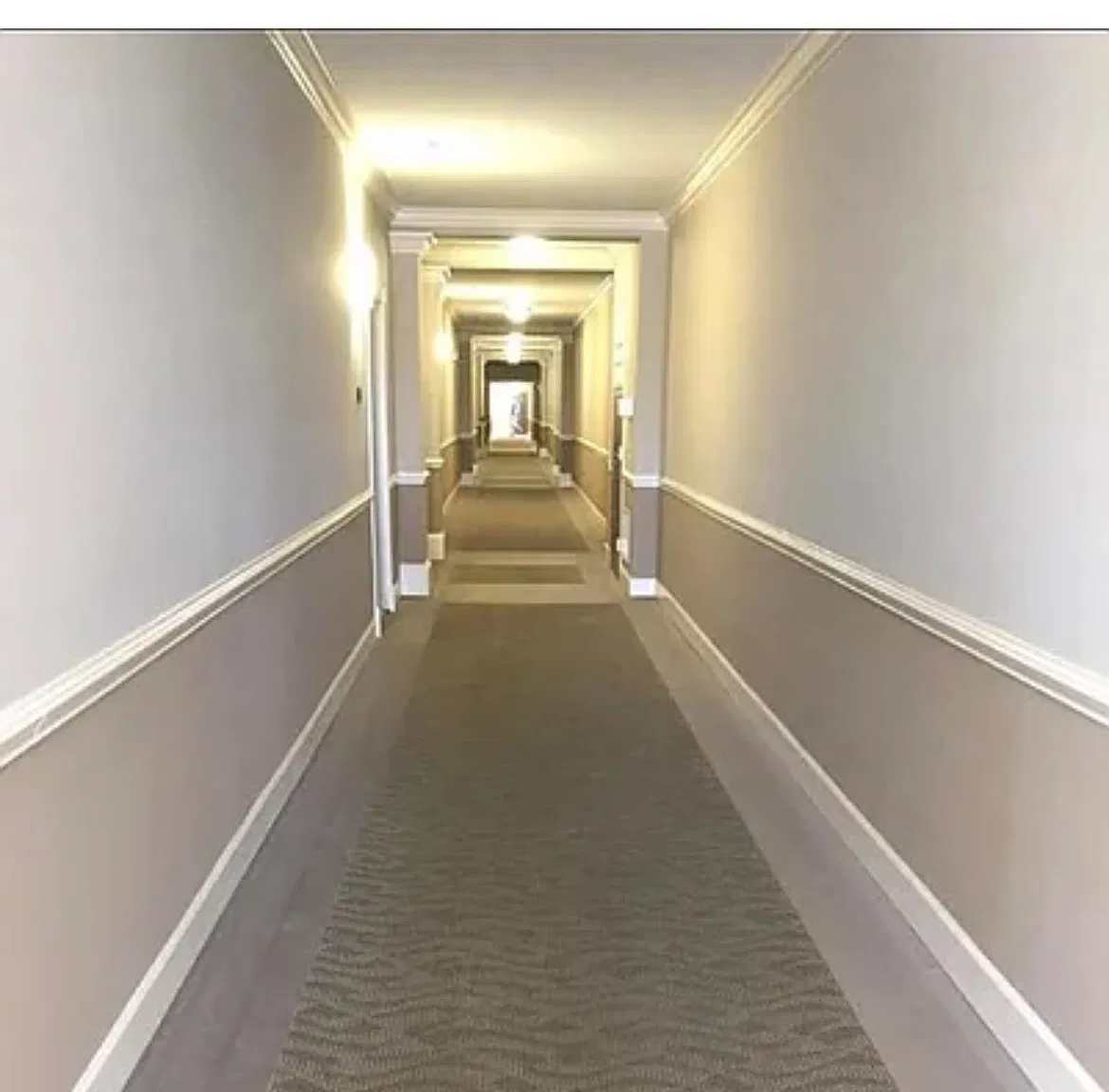 1 bed, 742 sqft, $1,995 — Photo 3