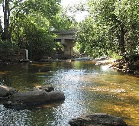 Walk to the Poudre River
