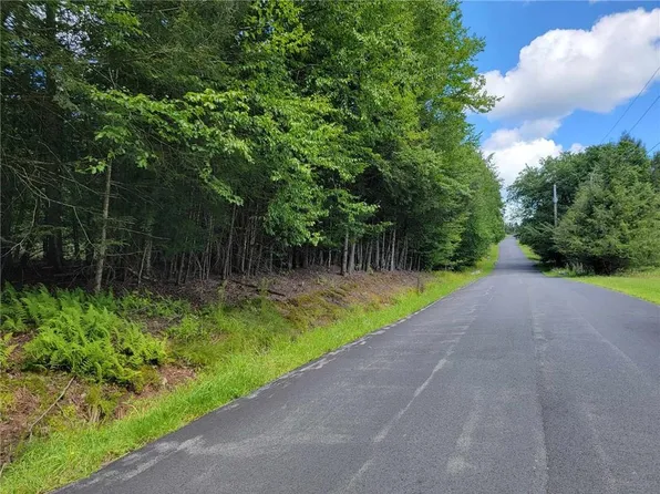 Muthig Road Tr 79, Fallsburg, NY 12733