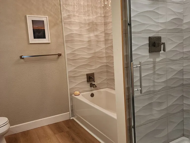 Master bath shower and separate tub