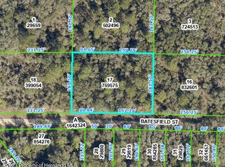 35013 Batesfield St, Webster, FL 33597