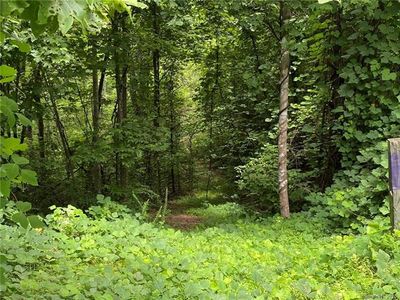 Laurel Valley Dr #34, Marion, NC, 28752