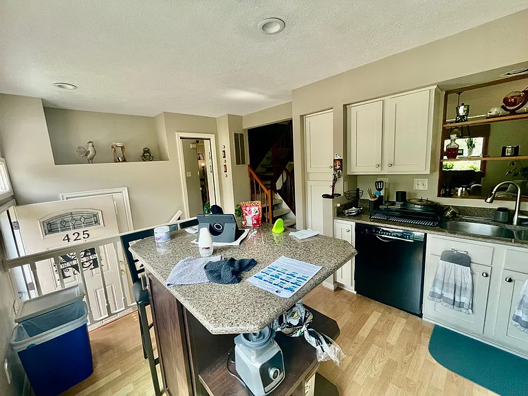 425 Parkridge Ln — Photo 6