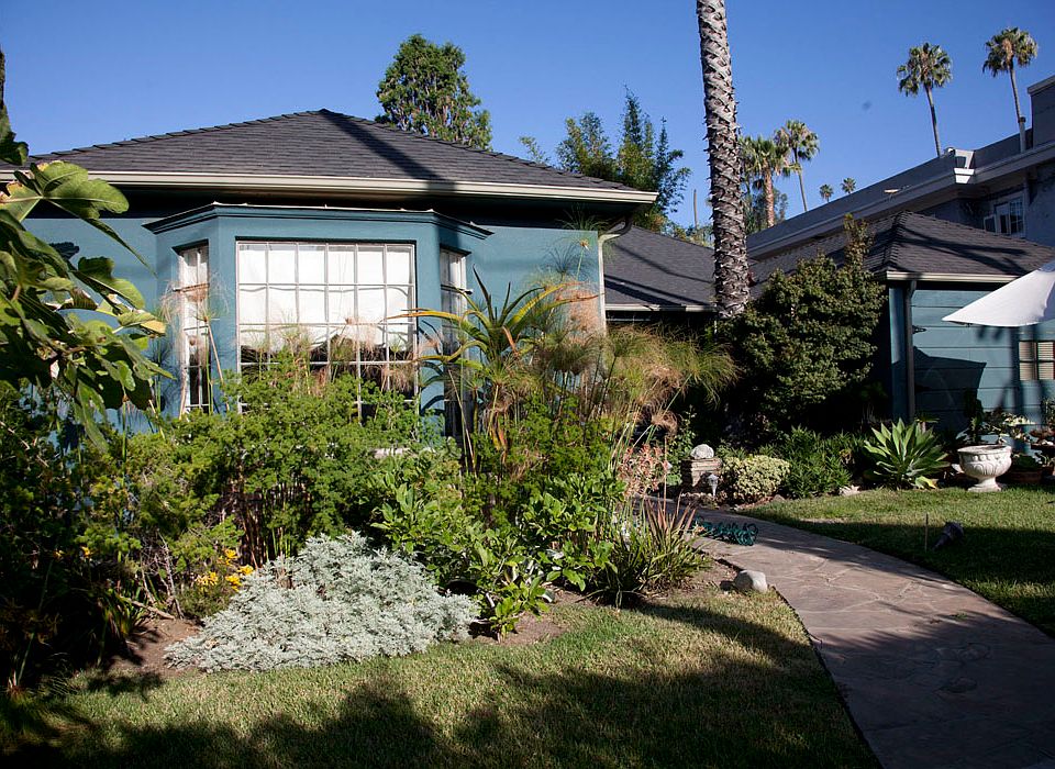 Front Yard