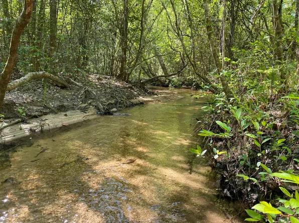 0 Shady Grove Rd, Gainestown, AL 36540