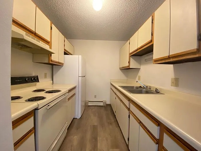2 bed, 1.0 bath, $1,175 — Photo 3