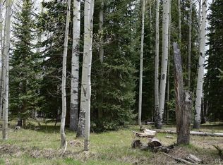 1600 Hazel Lake Dr, Cimarron, CO 81220