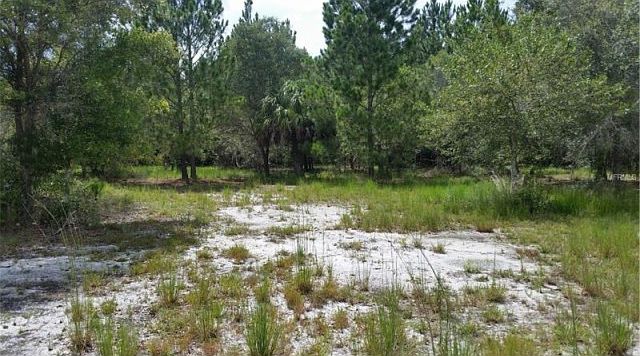 1st image of Pollard Rd