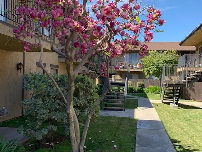 Apt Nicholson Garden — Photo 18