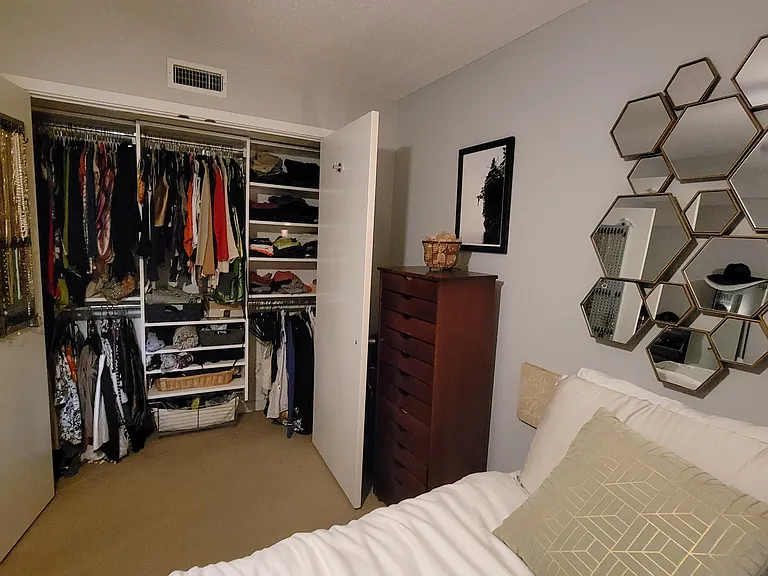 Deep closet with built-in organization