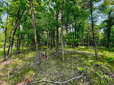 Rhett Rd #6, Wausaukee, WI, 54177