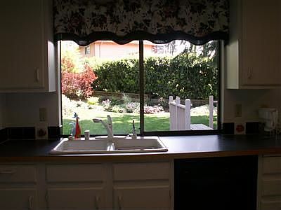 View of backyard from kichen window