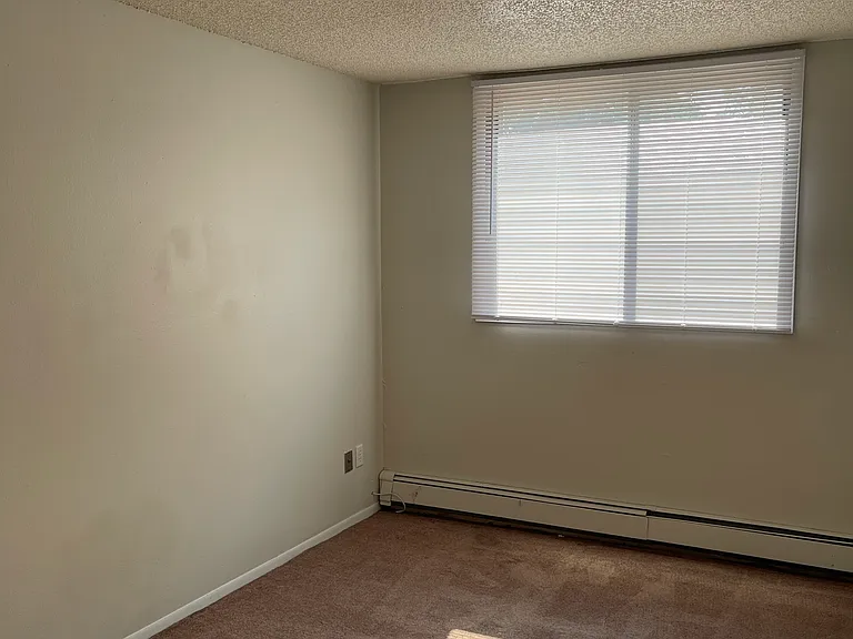 923 E College St #2S — Photo 9