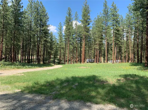 96 Twin Lakes Drive, Winthrop, WA 98862