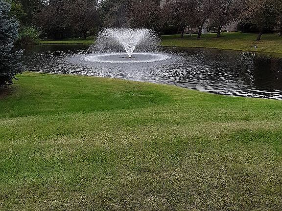 Pond fountain road entrance.