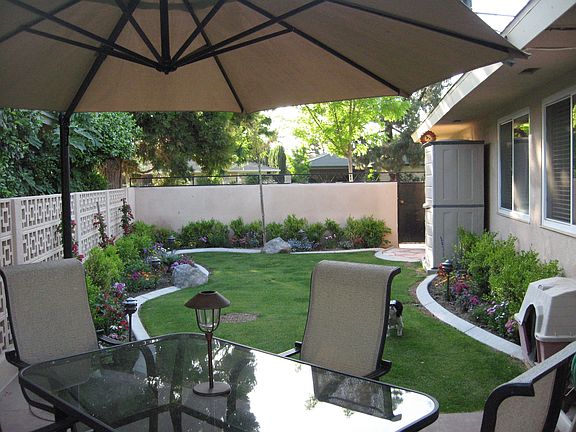 back yard