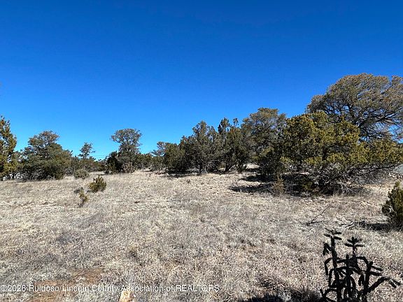 5th image of 109 Crest View Rd
