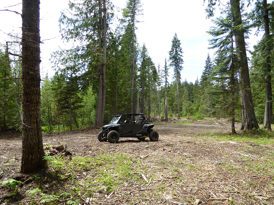2nd image of Clearwater Ests #1