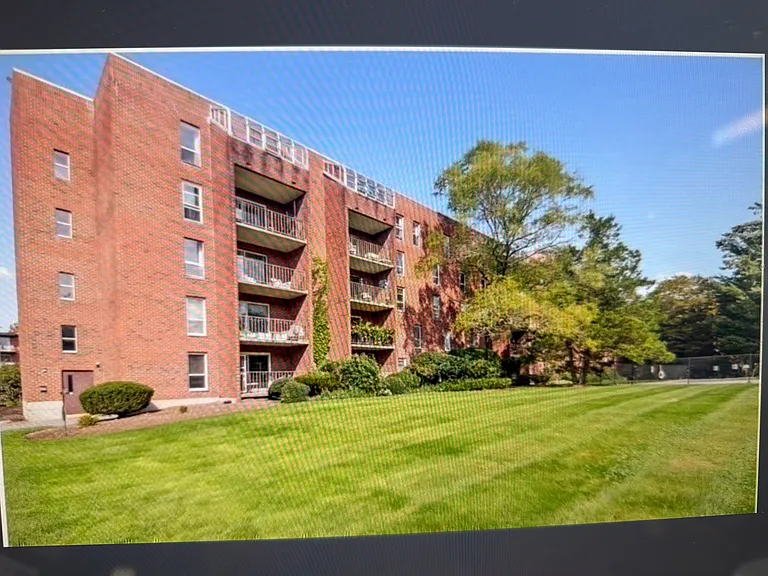 Building - Back Yard