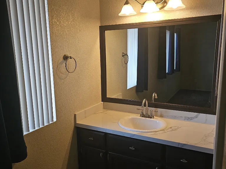 Primary en suite, new vanity