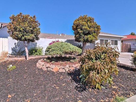 3rd image of 2539 Amaryl Ct