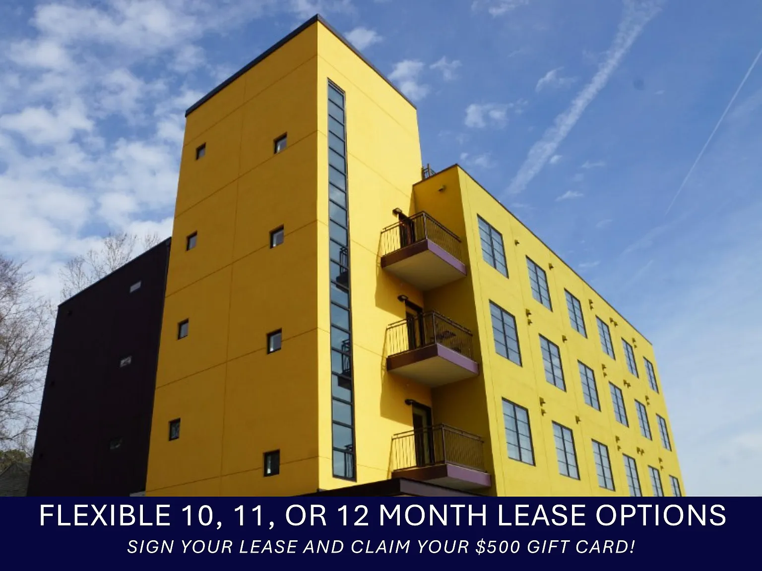 McIntire Plaza Apartments — Photo 4