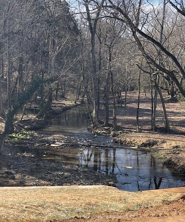 2nd image of 1723 Swansons Ridge Dr
