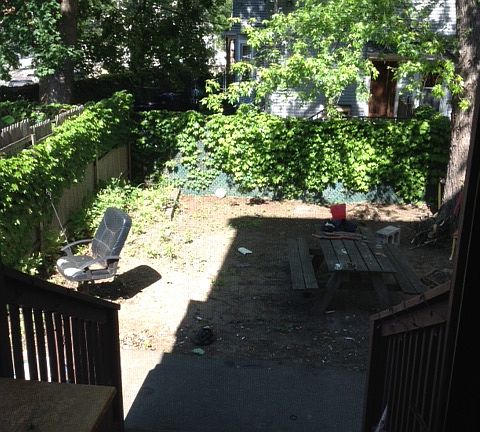 Private, fenced-in yard
