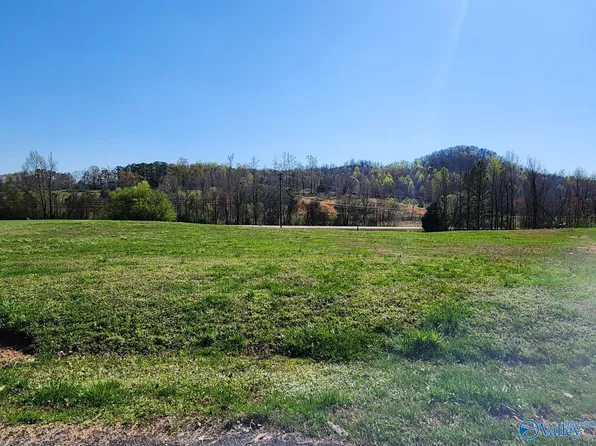 LOT 10 Eliza Ln, Guntersville, AL 35976