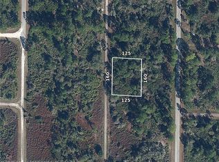 1131 Greco St, Lake Placid, FL 33852