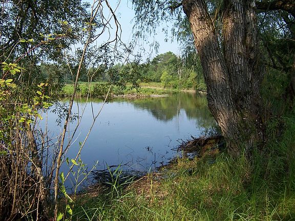 2nd image of 5053 Fred Crooks Blvd